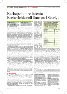 2013KV439 Karbapenemresistenta E coli_tryck.indd