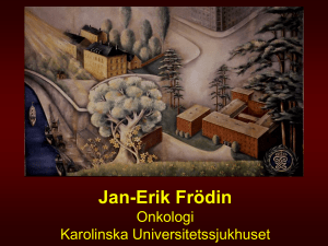 Jan-Eriks presentation. (PDF-dokument, 2,1 MB)