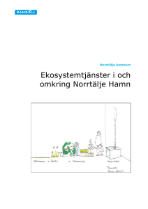 Ekosystemtjänster i och omkring Norrtälje Hamn