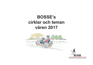 BOSSE`s cirklar och teman våren 2017