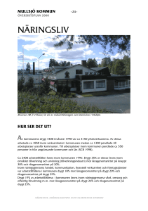 näringsliv - Mullsjö kommun