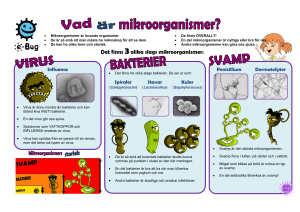 Vad är mikroorganismer? (SH 1) - e-Bug