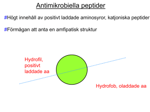 Antimikrobiell peptid