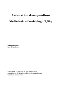 laborationskompendium inkl examinationsfrågor