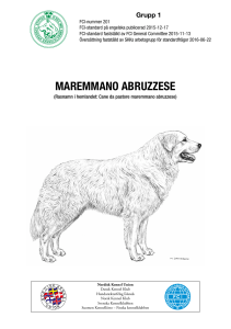maremmano abruzzese - Svenska Kennelklubben