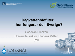 Dagvattenbiofilter – hur fungerar de i Sverige?