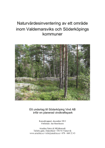 PDF 7.2 MB - Söderköping Vind