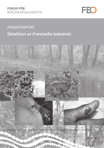 Detektion av Francisella tularensis
