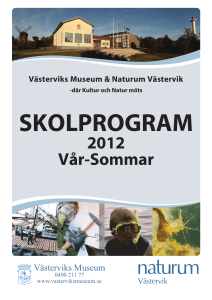 Skolprogram VT12-6sid