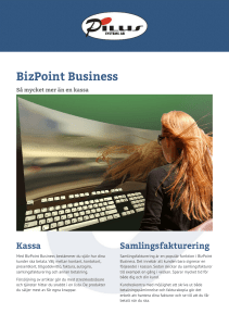 BizPoint Business