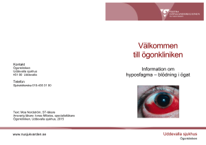 Information om hyposfagma – blödning i ögat
