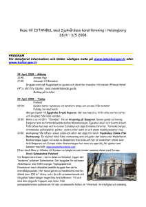 Istanbul 28/4-3/5 2008 - Sjukvårdens Konstförening