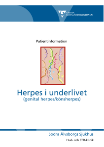 Herpes i underlivet - Startsida vgregion.se