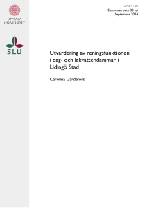 Carolina Gårdefors - W
