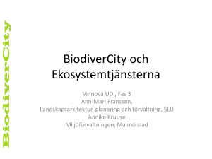BiodiverCity och Ekosystemtjänsterna