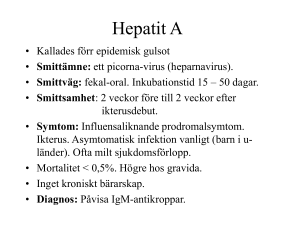 Hepatit A