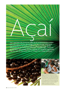 Açaí, superbäret från Amazonas, håller på att ta