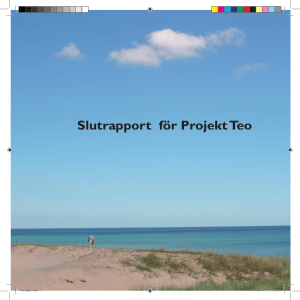 Slutrapport för Projekt Teo