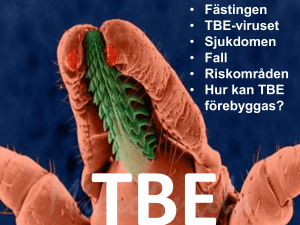 • Fästingen • TBE-viruset • Sjukdomen • Fall • Riskområden • Hur