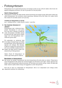 Fotosyntesen - Clio Online