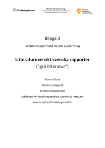 Bilaga 3 Litteraturöversikt svenska rapporter