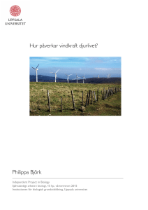Hur påverkar vindkraft djurlivet? Philippa Björk