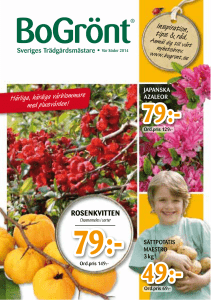 49:- 79 - Solberga Blommor