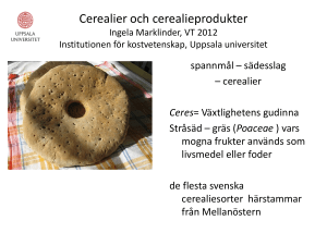 Cerealier och cerealieprodukter Ingela Marklinder, VT
