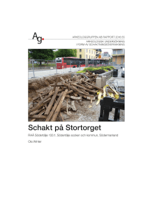 Schakt på Stortorget - Arkeologgruppen i Örebro AB
