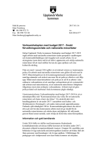 Verksamhetsplan med budget 2017 - finskt förvaltningsområde och