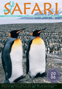 Isbjörnar och pingviner mottot för Polar Quest SID 6 • Vad tycker
