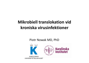 Mikrobiell translokation vid kroniska virusinfektioner