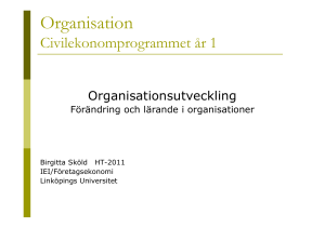 Lärande i organisationer - IEI