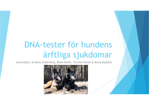 DNA-tester för hundens ärftliga sjukdomar