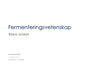 klara-junker-161022-uddebo-fermentering