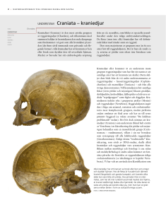 UNDERSTAM Craniata – kraniedjur