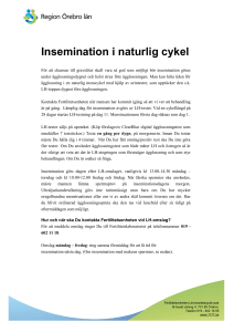 Insemination i naturlig cykel