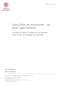Gener, DNA och kromosomer - Institutionen för biologisk