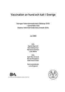 Rapport från SVS` och SVAs arbetsgrupp