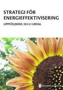Strategi för Energieffektivisering för 2013