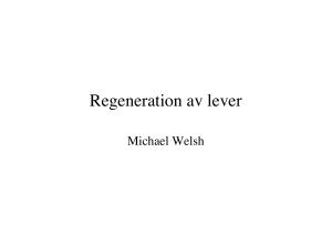 Regeneration av lever