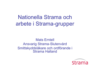 Nationella Strama och arbete i Strama-grupper