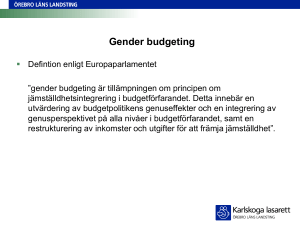 Erfarenheter av genderbudgeting
