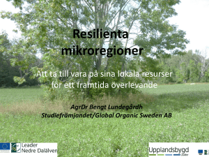 Resilienta mikroregioner