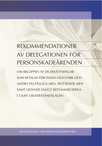 rekommendationer av delegationen för personskadeärenden