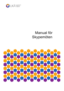 Manual för Skypemöte