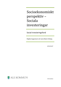 Socioekonomiskt perspektiv – Sociala investeringar