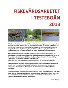 FISKEVÅRDSARBETET I TESTEBOÅN 2013