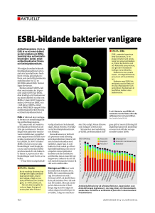 ESBL-bildande bakterier vanligare