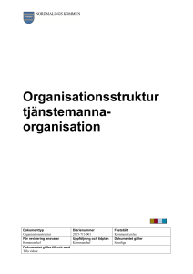 Organisationsstruktur tjänstemanna- organisation